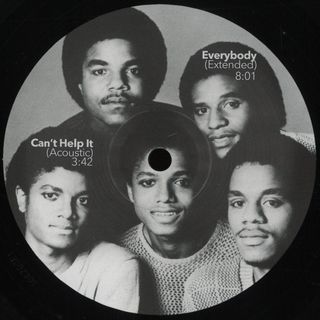 Vinylator
