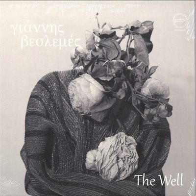 Veslemes — The Well LP vinyl cover