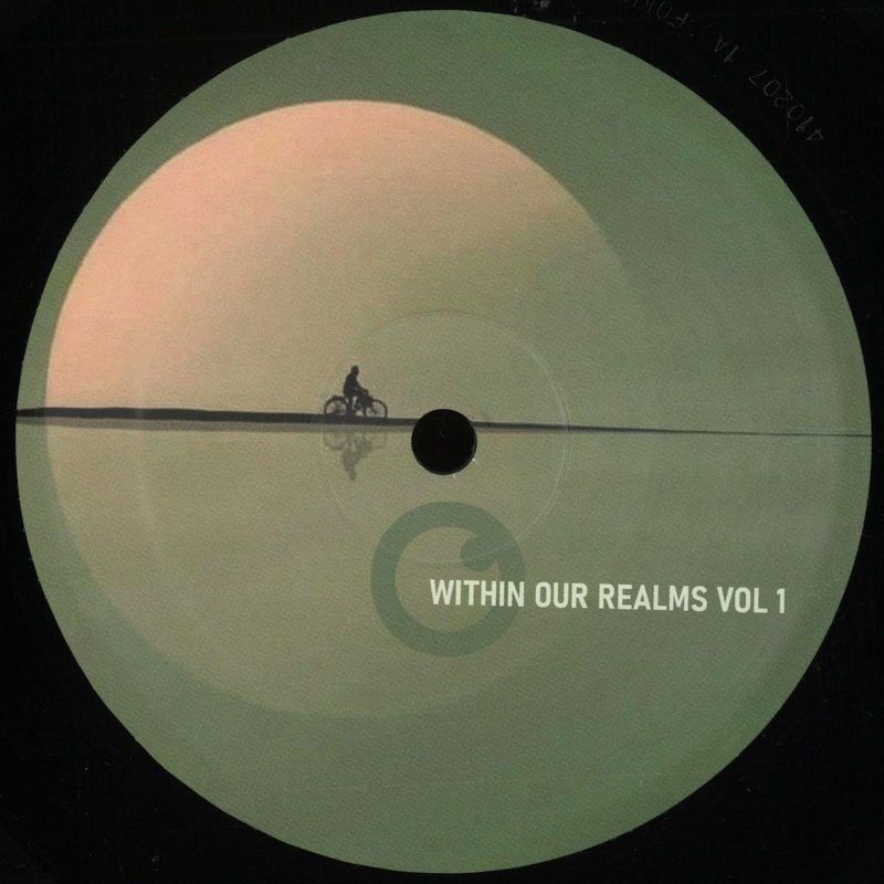 Leniz — Within Our Realms Vol 1 vinyl cover