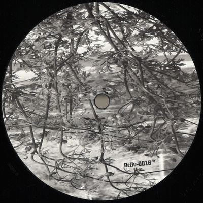 Activ-Analog — Lunar Garden vinyl cover