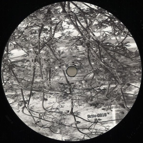 Activ-Analog — Lunar Garden vinyl cover