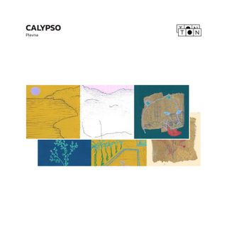 Plevna — Calypso vinyl cover