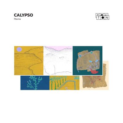 Plevna — Calypso vinyl cover