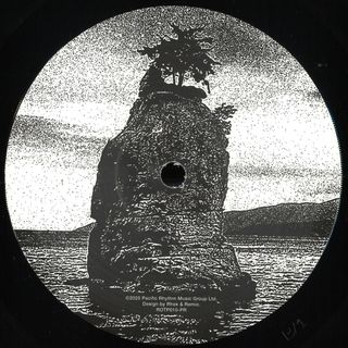 Various — 10 Years Of Rhythms Of The Pacific Sampler vinyl cover