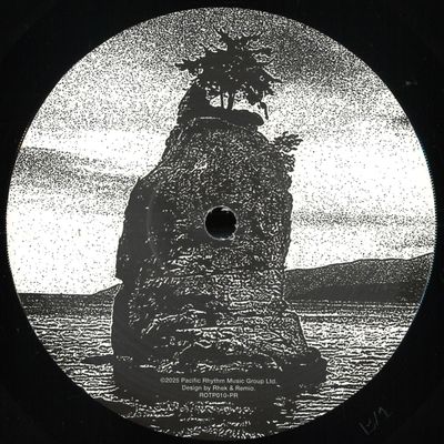 Various — 10 Years Of Rhythms Of The Pacific Sampler vinyl cover