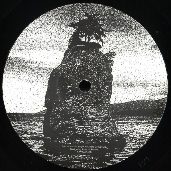 Various — 10 Years Of Rhythms Of The Pacific Sampler vinyl cover