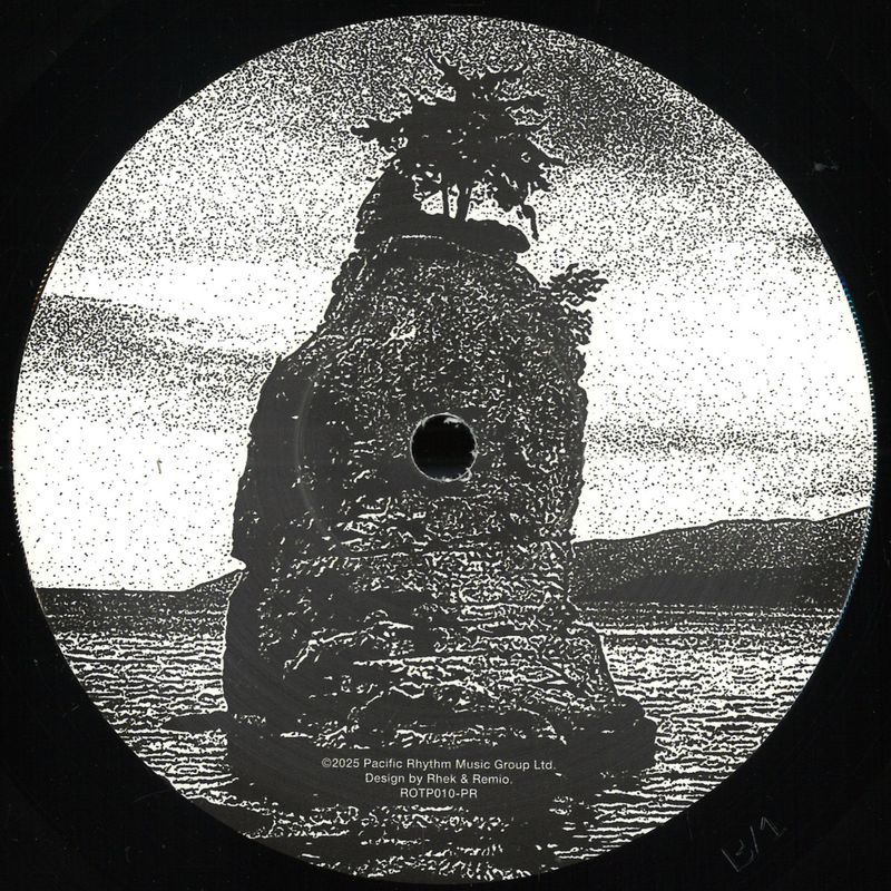 Various — 10 Years Of Rhythms Of The Pacific Sampler vinyl cover