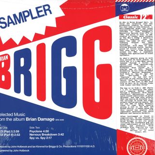 Brian Briggs — Selected Music From The Album Brian Damage vinyl cover