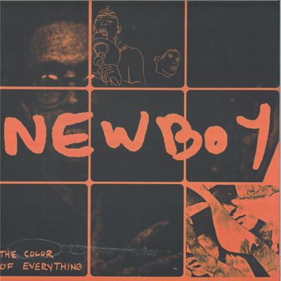 Newboy — THE COLOR OF EVERYTHING LP vinyl cover