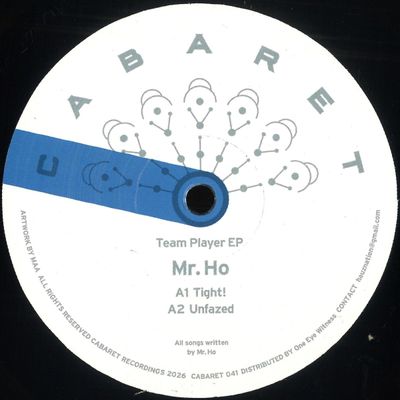 Mr Ho — Team Player vinyl cover