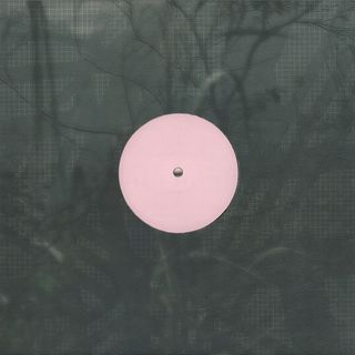 Alien D — For the Early Hours of a World in Bloom vinyl cover