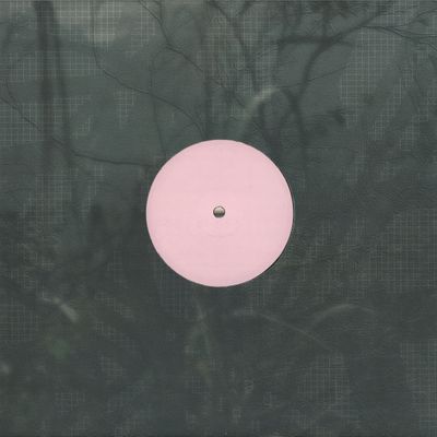 Alien D — For the Early Hours of a World in Bloom vinyl cover