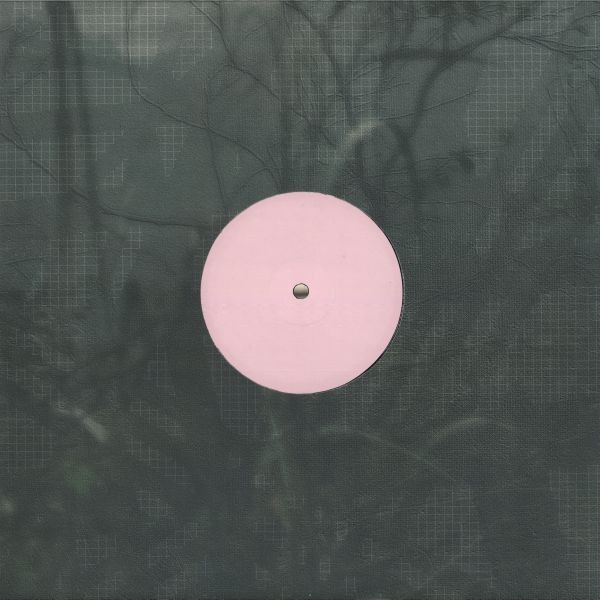 Alien D — For the Early Hours of a World in Bloom vinyl cover