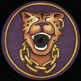 Cheetah
