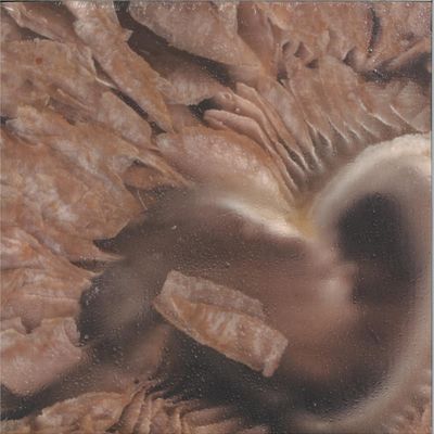 Serti — If U Are Curious 2x12" vinyl cover