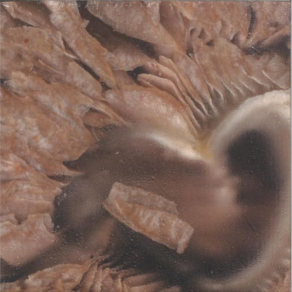 Serti — If U Are Curious 2x12" vinyl cover