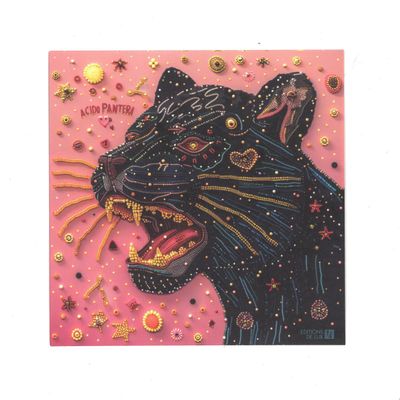 ÁCido Pantera — S/T vinyl cover
