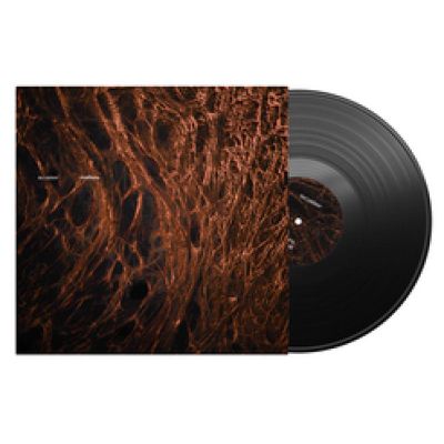 Scaler — REFLEX LP vinyl cover