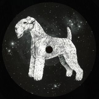 Paul Walter — DM For House vinyl cover