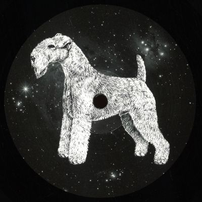 Paul Walter — DM For House vinyl cover