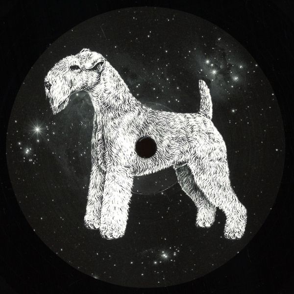 Paul Walter — DM For House vinyl cover