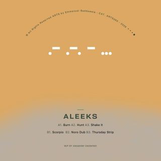 Aleeks — Burn EP [Label Sleeve] vinyl cover