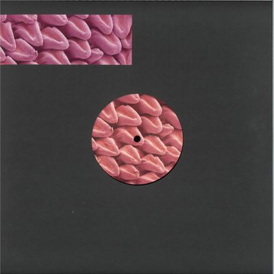 Various — Expansions VA vinyl cover