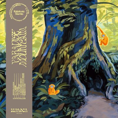 Katatonic Silentio — Paradise Mountain LP vinyl cover