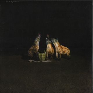 Years of Denial — Suicide Disco LP 2x12" vinyl cover