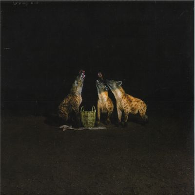 Years of Denial — Suicide Disco LP 2x12" vinyl cover