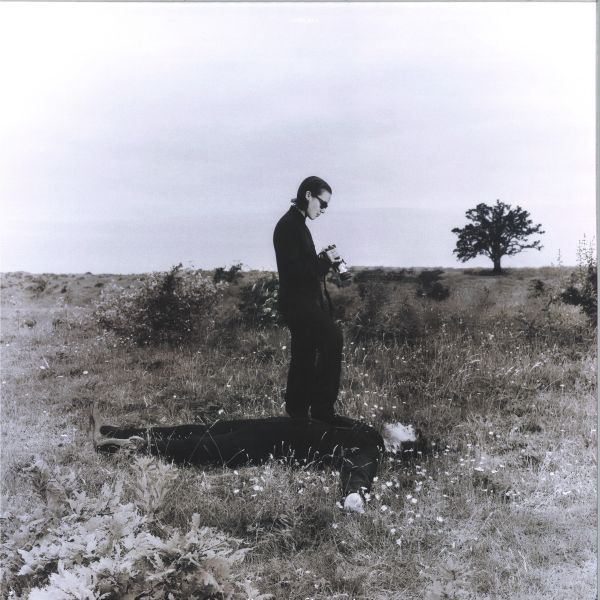 A Spiral Walk — Summer of Insomnia vinyl cover