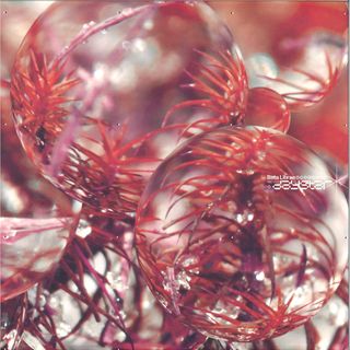 Beta Librae — Daystar vinyl cover