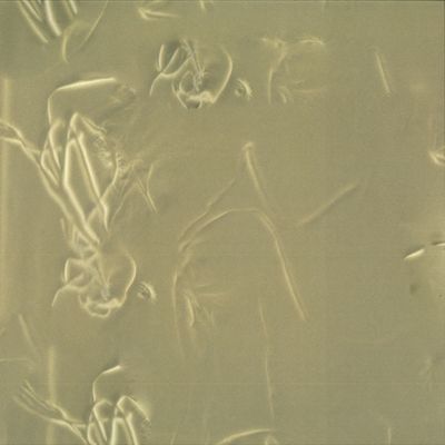 Various — Peculiar Glow Vol. 1 vinyl cover