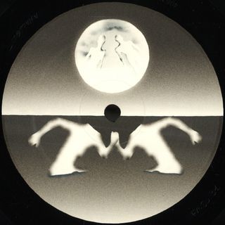 Torn Hawk — Flip To Raw vinyl cover