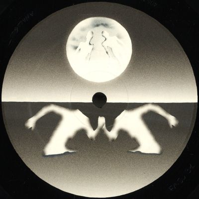 Torn Hawk — Flip To Raw vinyl cover