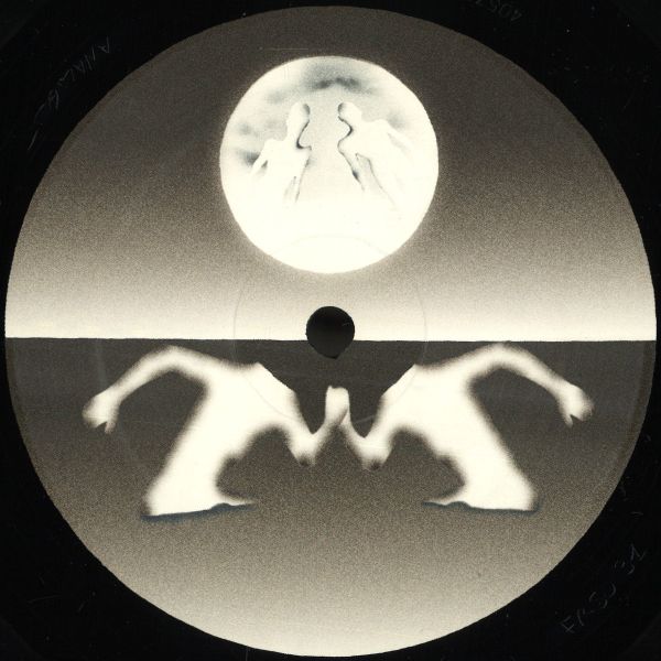 Torn Hawk — Flip To Raw vinyl cover