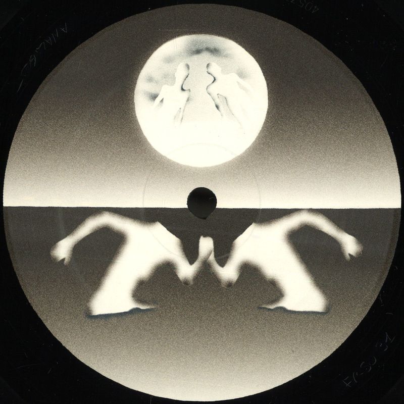 Torn Hawk — Flip To Raw vinyl cover