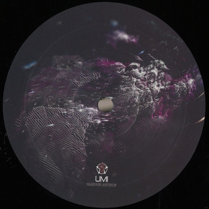 Various — UMI vinyl cover