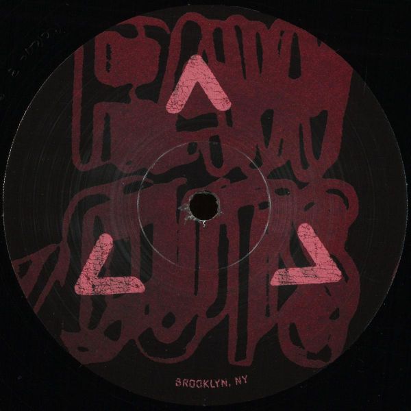 Adam Rose — Gravitation of the Past vinyl cover