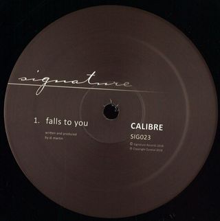 Calibre — Falls To You vinyl cover