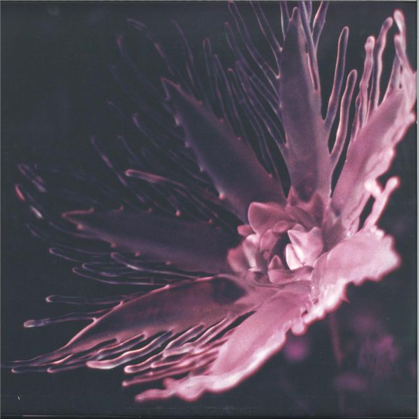 Dania — Listless vinyl cover