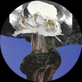 Manami — Treading Dub vinyl cover