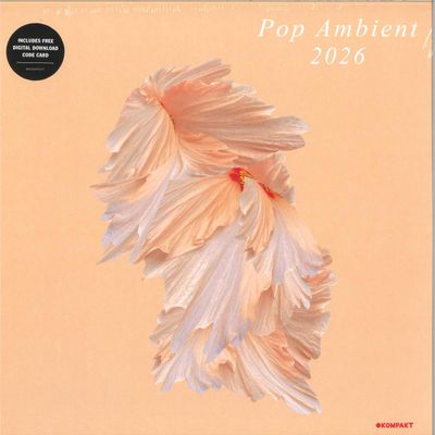 Various — Pop Ambient 2026 LP vinyl cover