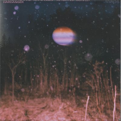 Mariska Baars, Niki Jansen, Rutger Zuydervelt — Hardanger vinyl cover