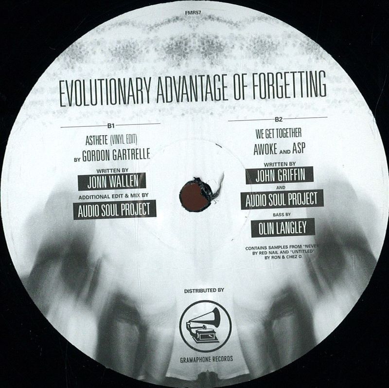 Va — Evolutionary Advantage vinyl cover