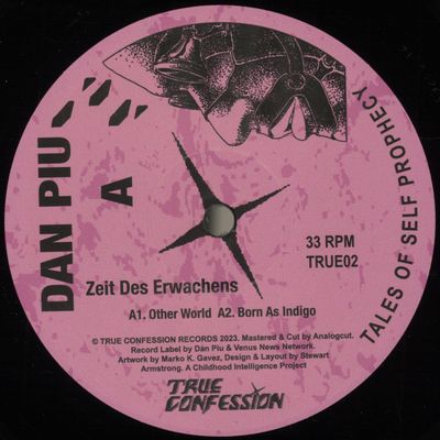 Dan Piu — Zeit Des Erwachens vinyl cover
