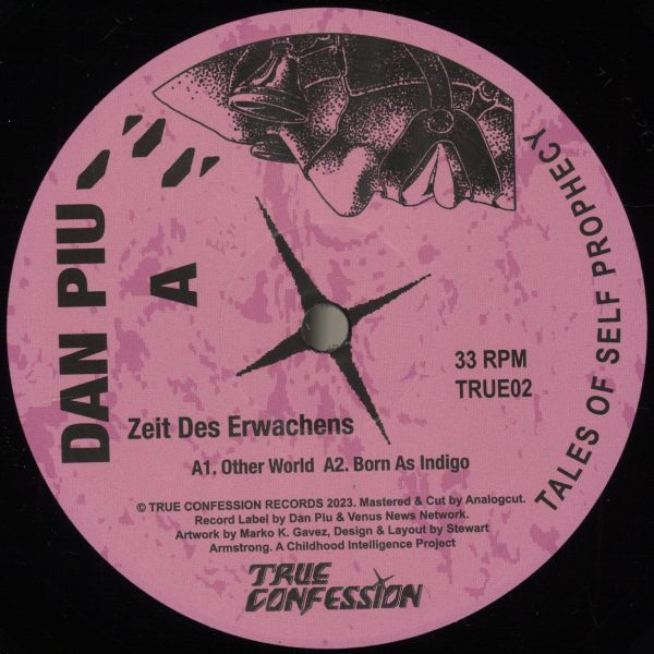 Dan Piu — Zeit Des Erwachens vinyl cover