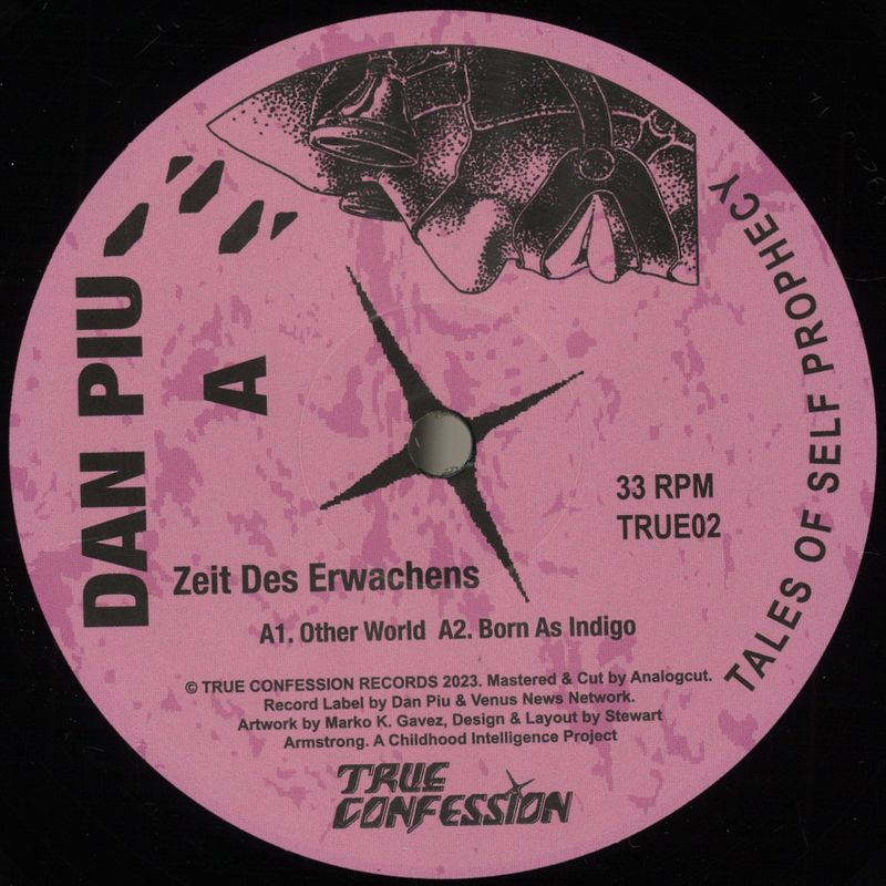 Dan Piu — Zeit Des Erwachens vinyl cover