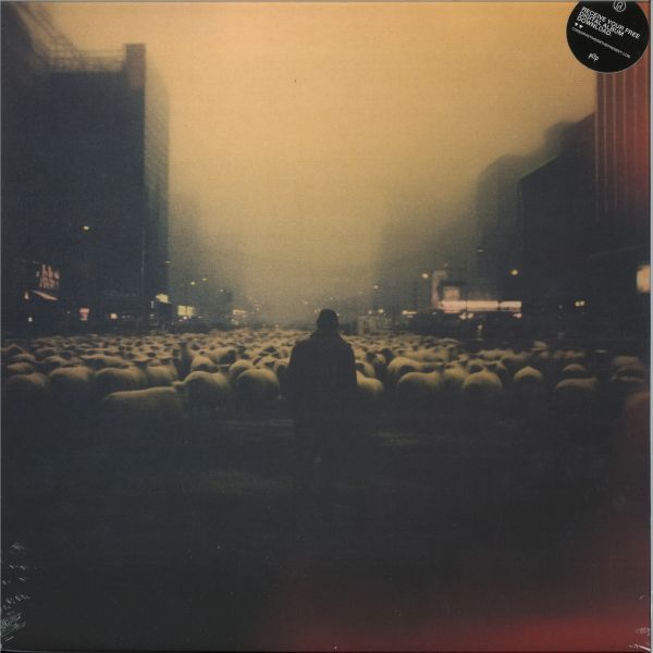 Black Swan — From The End Of Time vinyl cover