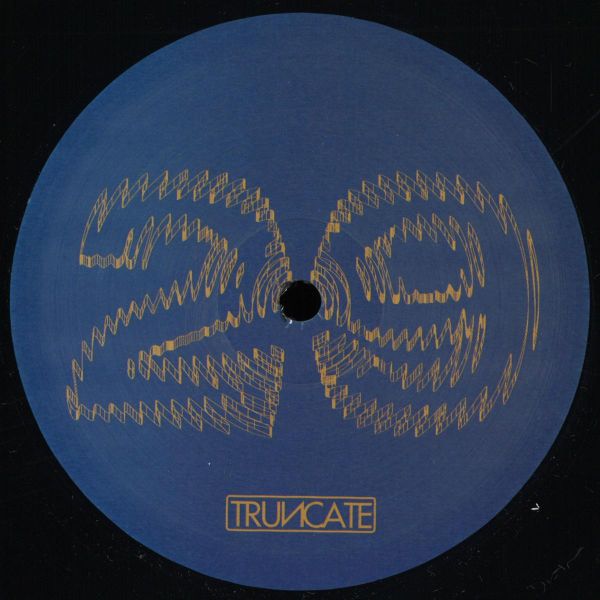 Truncate — FORGOTTEN vinyl cover